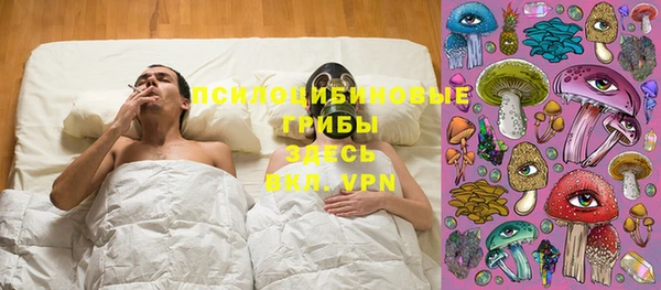 мдпв Балахна