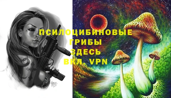 гашик Баксан