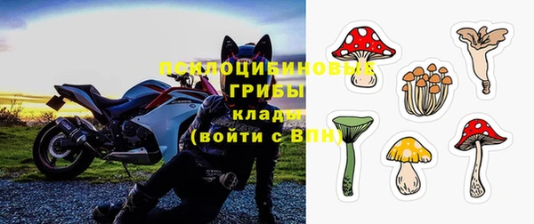 гашик Баксан