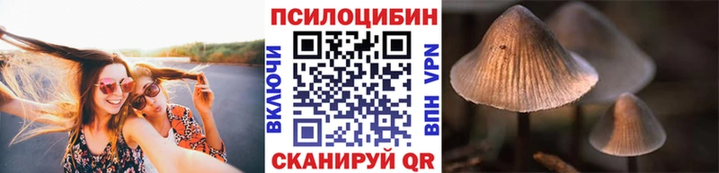 Псилоцибиновые грибы мицелий  где купить наркотик  Болгар 
